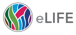 eLife logo eLife logo