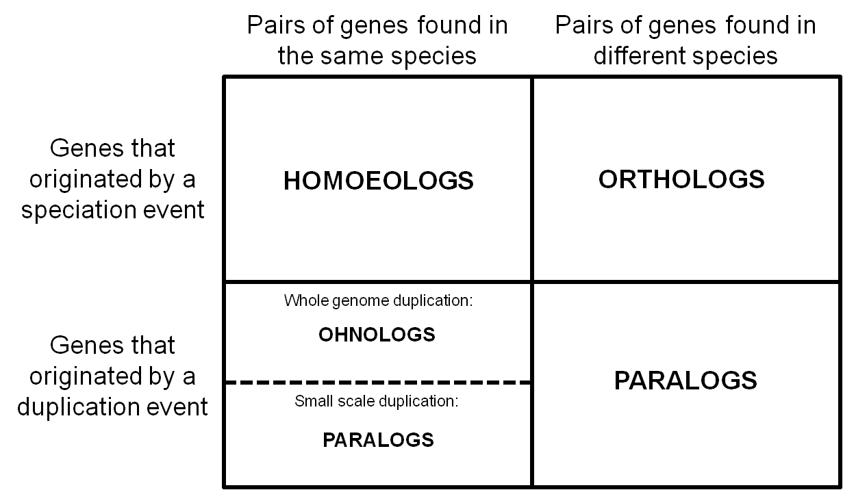 Different types of homologs