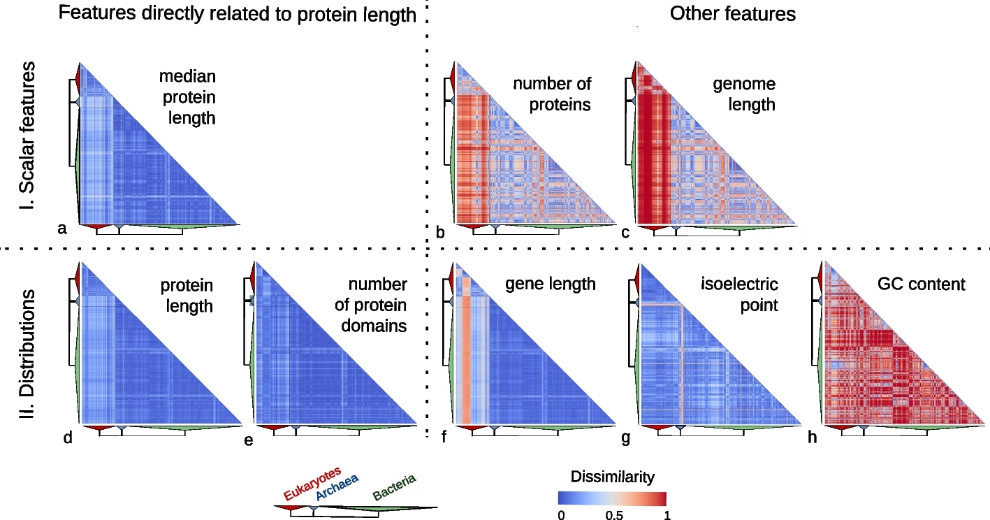 Plots illustrating the high uniformity of protein length-related measures compared to other kinds of summary statistics