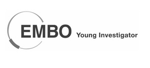 Logo EMBO Young Investigator